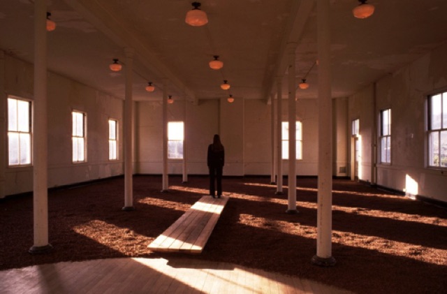 End of Desire, Headlands Center for the Arts, 2001